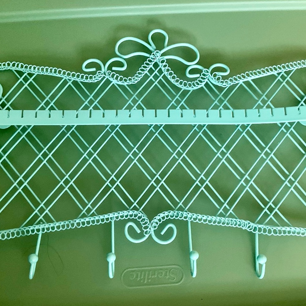 Earring necklace hanging jewelry display